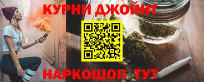 крисы Надым