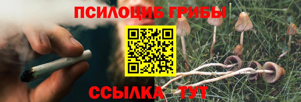 Галлюциногенные грибы ЛСД Железноводск
