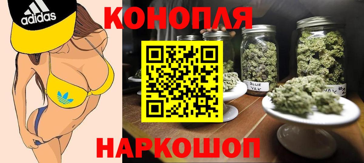 Бошки Шишки план Железноводск